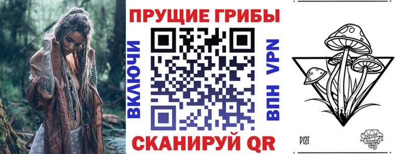Псилоцибиновые грибы GOLDEN TEACHER  Купить  Куса 